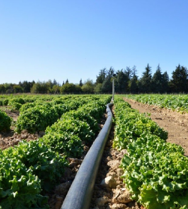 En este momento estás viendo PTN: Pioneros en la Fabricación de Poliducto Corrugado y Mangueras en México